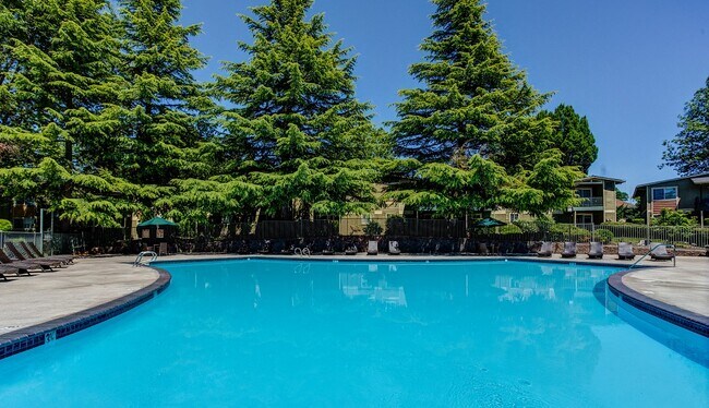 Photo - Commons at Timber Creek Apartments