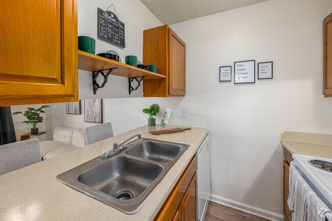 1BR, 1BA - 500SF - Kitchen