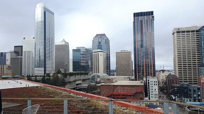 Rooftop from P+M2