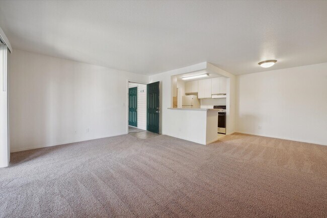 One Bedroom - 1 Bed / 1 Bath - 699 Sq.Ft.