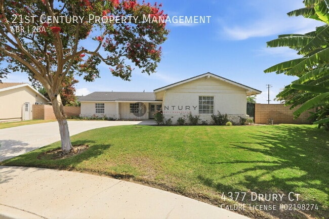 4377 Drury Ct