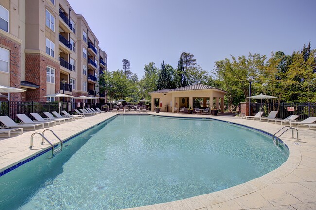 Resort Style Saltwater Pool - Apartments at The Arboretum