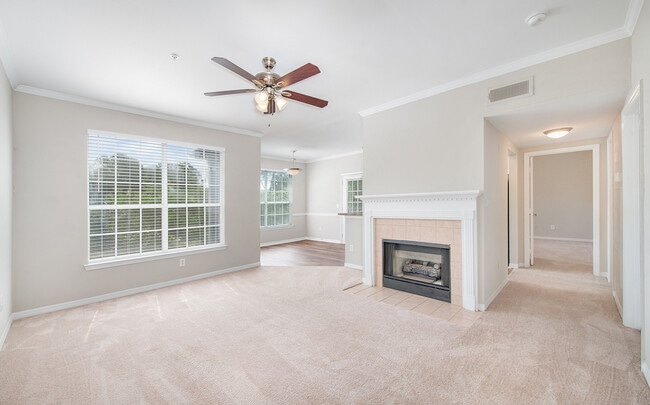 Photo - MAA Hammocks