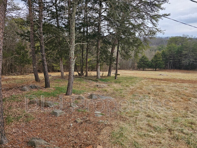 Photo - 946 Harbin Rd