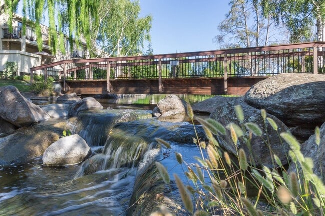 Bridge over Pond