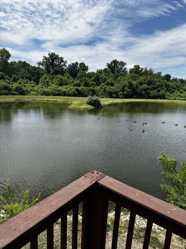 Photo - 3720 Candlewyck Club Dr