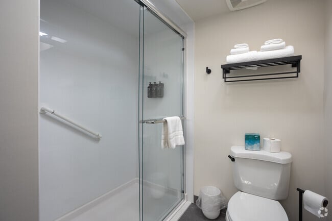 1BR, 1BA - 300SF - Bathroom