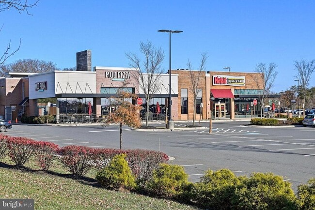 Photo - 19872 Yellow Daisy Ter