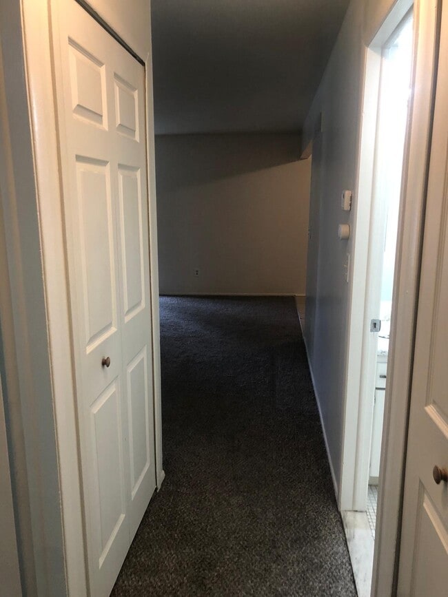 Photo - St Johns Apartments
