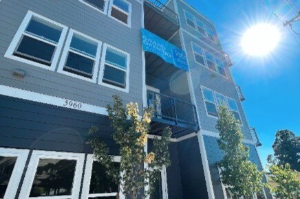 Photo - Burnie (1 & 2)