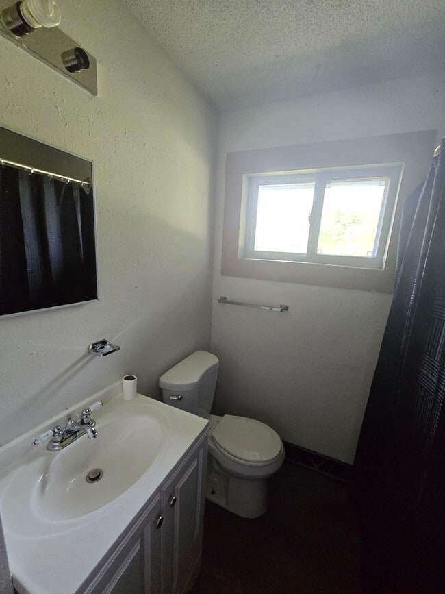 Photo - 3 bed 1 bath w/ fireplace!
