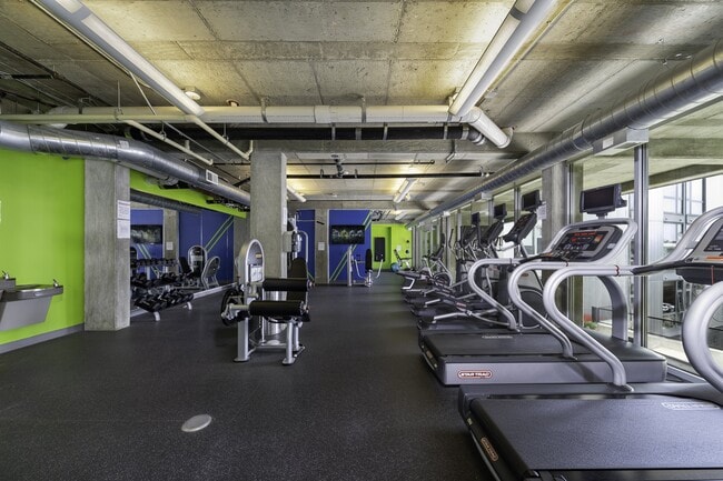 Gimnasio con pesas libres, máquinas de fuerza y cardio.