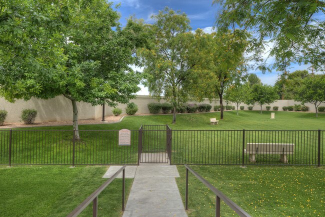 Photo - San Marbeya Luxury Community