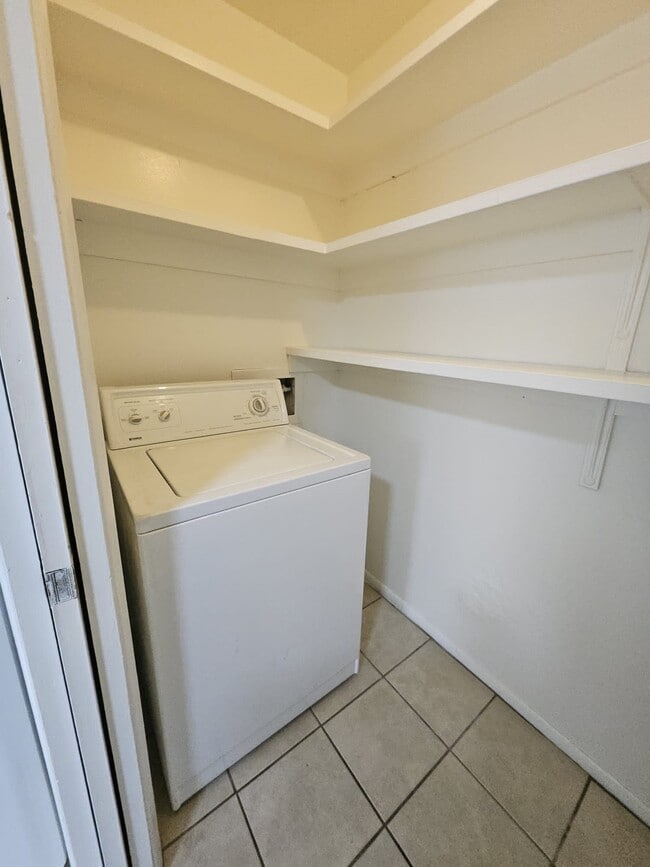 Photo - Gracey's Nation - Palomas Community