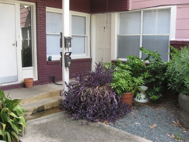Photo - 2520 Hopkins St Unit K