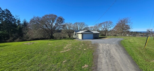 Photo - Privacy And Space In The Heart Of Rural West County. Minutes From Sebastopol And The Bay.