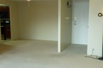 Sala de estar - 415 S Howes St Unidad N408