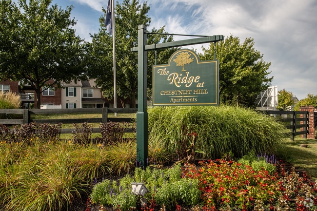 Photo - The Ridge at Chestnut Hill