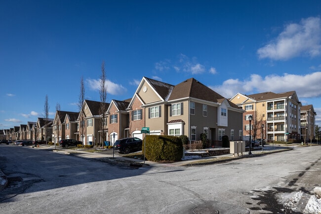 Photo - Celebrations at South Plainfield