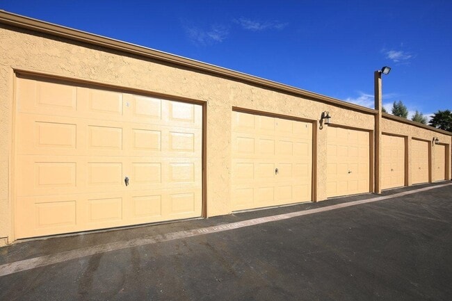 Photo - Spring Gardens