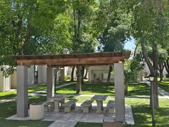 Main picnic area with charcoal grills