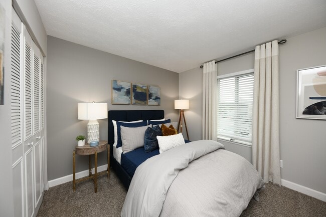 Cozy bedroom with carpet
