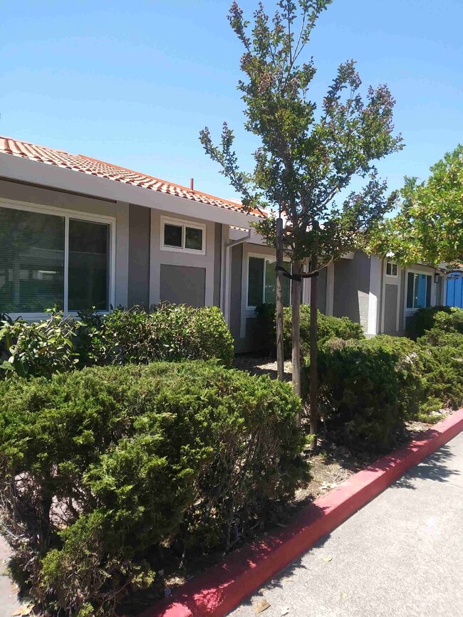 Plaza Del Sol Town Homes