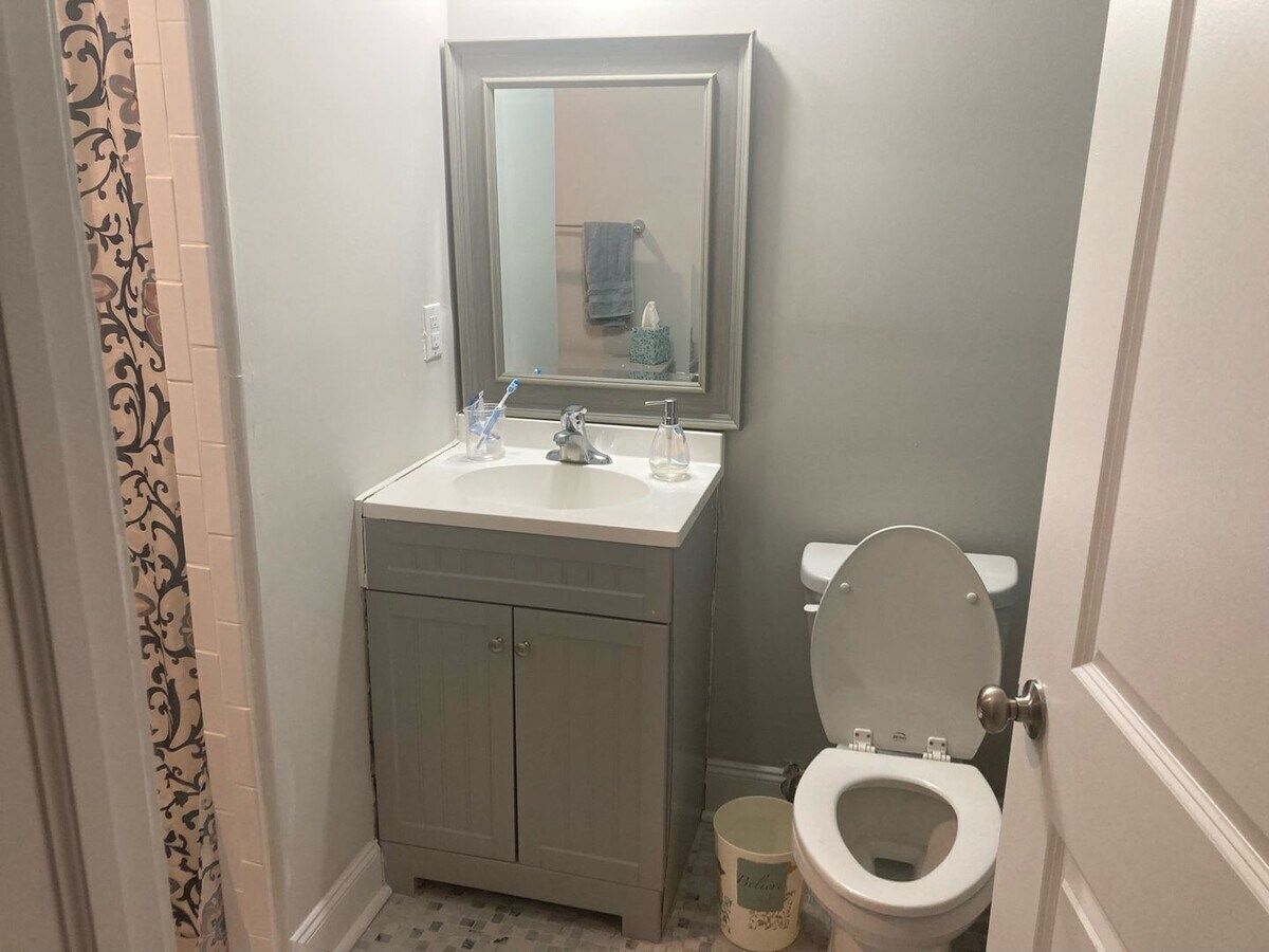 1 Bed/1 Bath - Fully Renovated - Kitchen w... - 1 Bed/1 Bath - Fully Renovated - Kitchen w... Unit 8