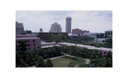 Photo - Near North Village