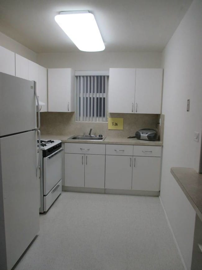 Photo - Tropical Pool