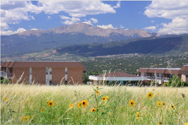 The Vue at Chapel Hills