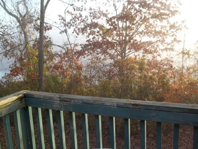 Building Photo - Branson MO 2 bed / 2 bath loft style condo with Lake Taneycomo view!