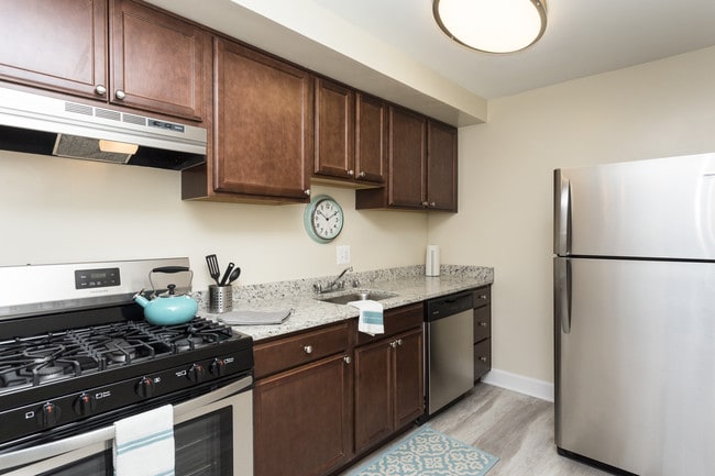 Photo - Stevens Walk