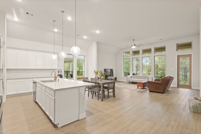 Photo - 10943 Water Hyssop Ln