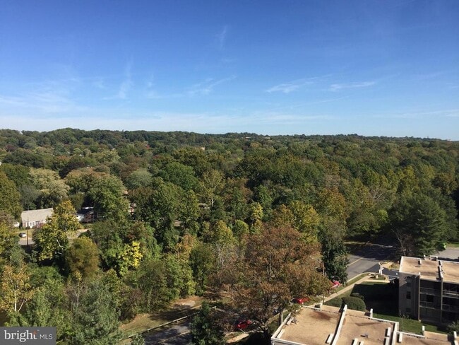 Photo - 5300 Holmes Run Pkwy Unit 1209