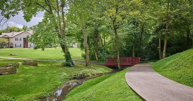 Sendero para caminar y paisajes frondosos - Cooper Creek