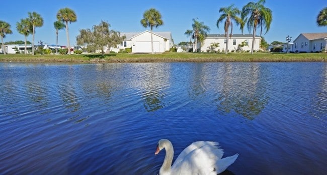 Photo - Bay Indies Apartments