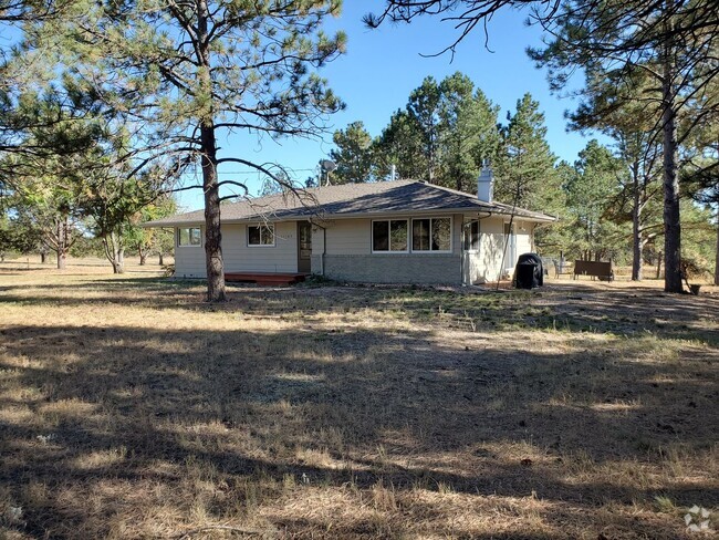 Building Photo - Stunning 4/3/2 Home in Black Forest!!!!