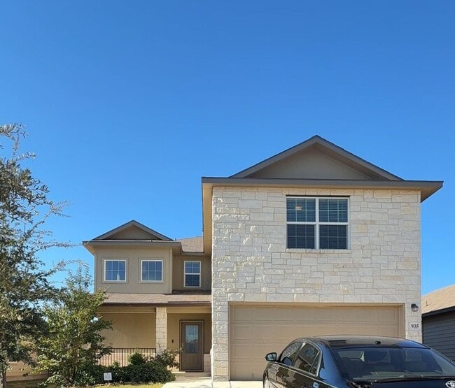 Photo - 935 Winged Scoter