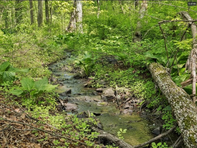 Photo - 26 Woodland Cir