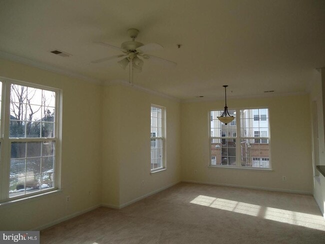 Photo - 43920 Hickory Corner Terrace