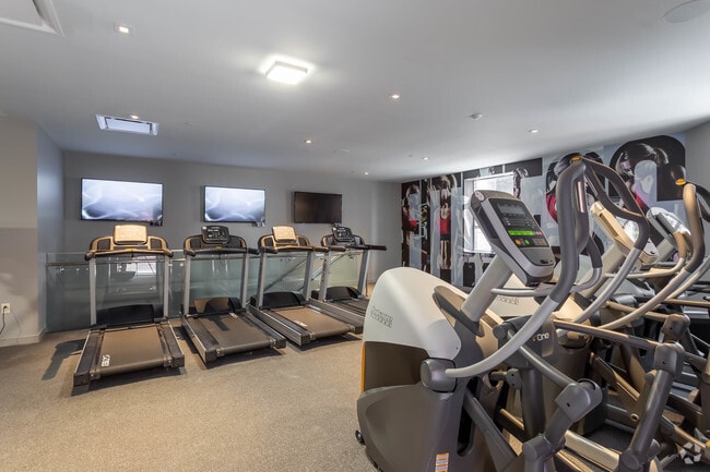 Equipo de entrenamiento cardiovascular - Spectra Pearl 101