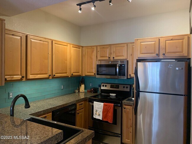 1500 E Pusch Wilderness Dr Unit 7205