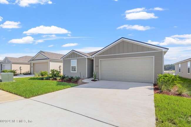 Photo - 12927 Rubber Fig Ter