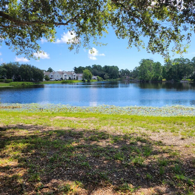 Photo - 23699 Bahama Point Unit 1126