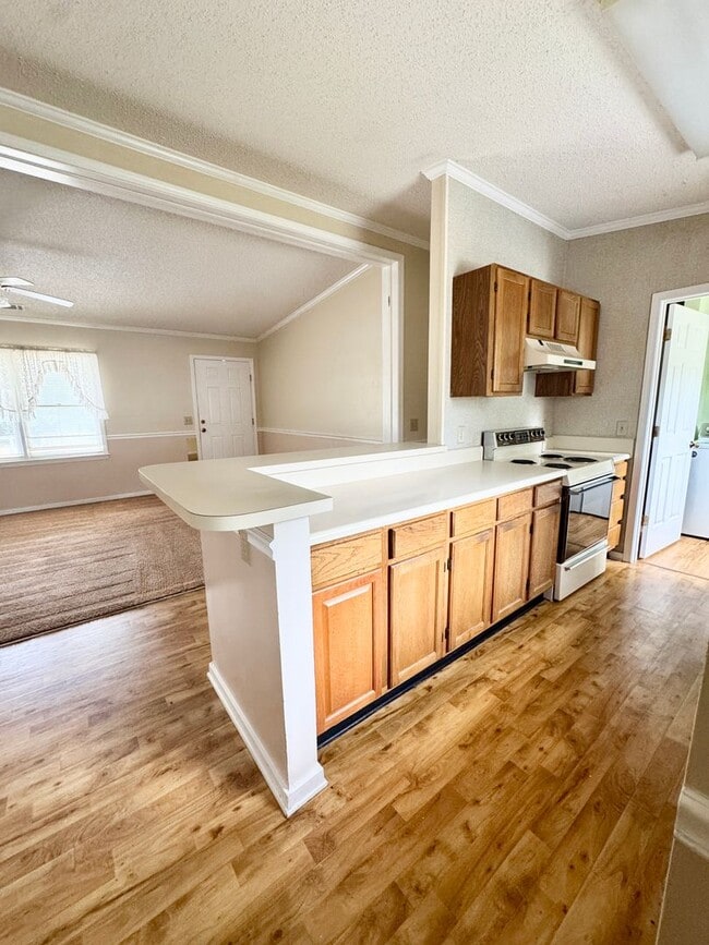 Photo - 3 Bed, 2 Bath - WALK to class -ALL UTILITIES INCLUDED
