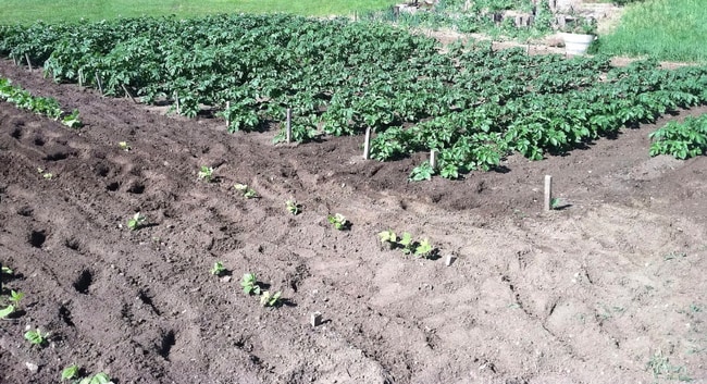 Photo - 2636 Terry Lake Rd