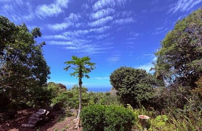 Photo - Charming 3 bedroom 2 bathroom House