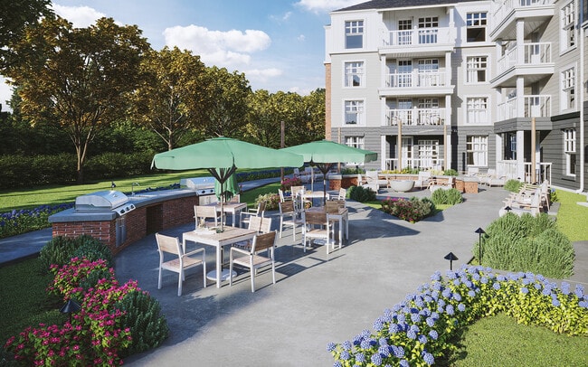 Photo - Album Summit Pines