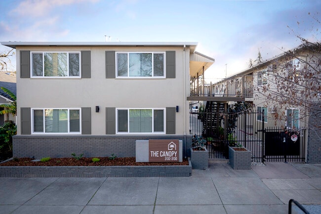 The Canopy - The Canopy